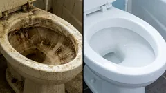 Een glanzend toilet zonder dure chemicaliën: 5 goedkope manieren om hardnekkige vlekken snel te verwijderen